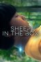 Sheep in the Box (2026)